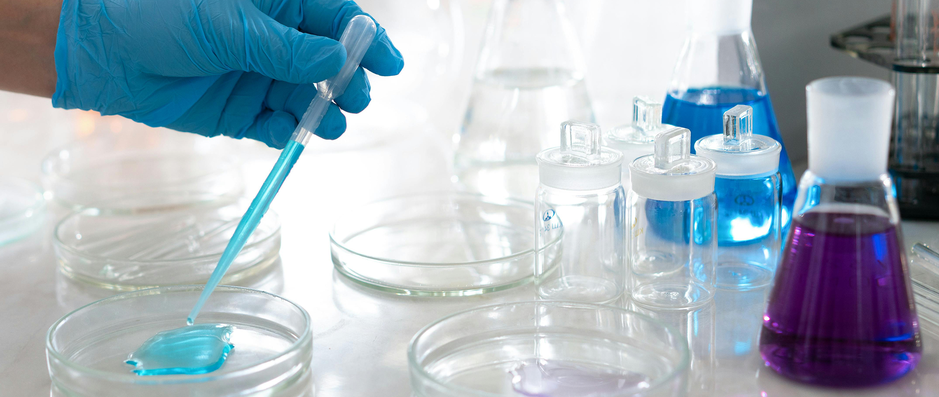 Pharma & Biotech