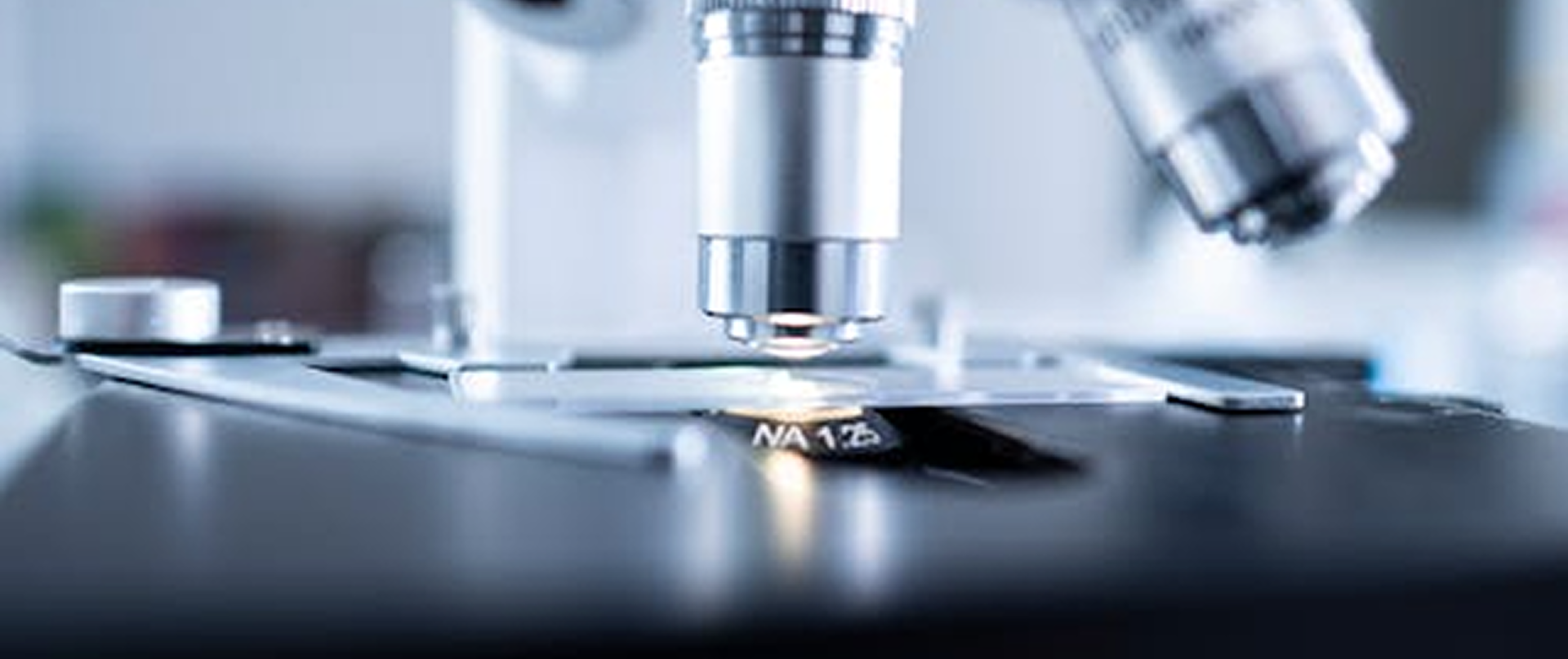 Ricerca e Innovazione